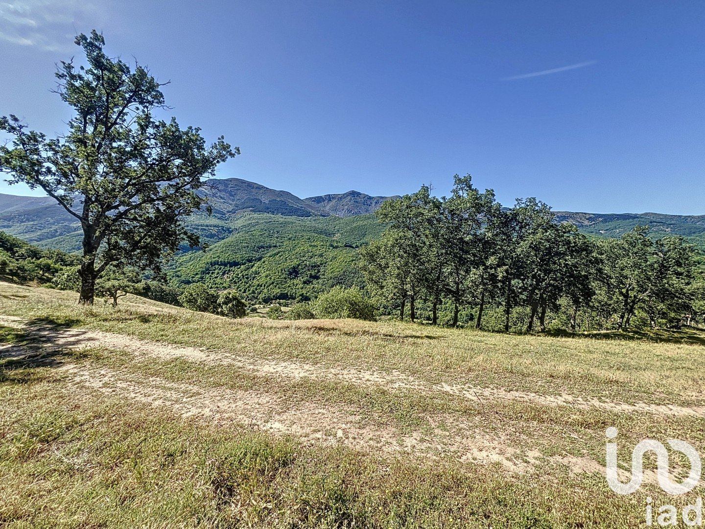 Gewerbeimmobilien in Hervas, Caceres, Spanien Nr. 153957