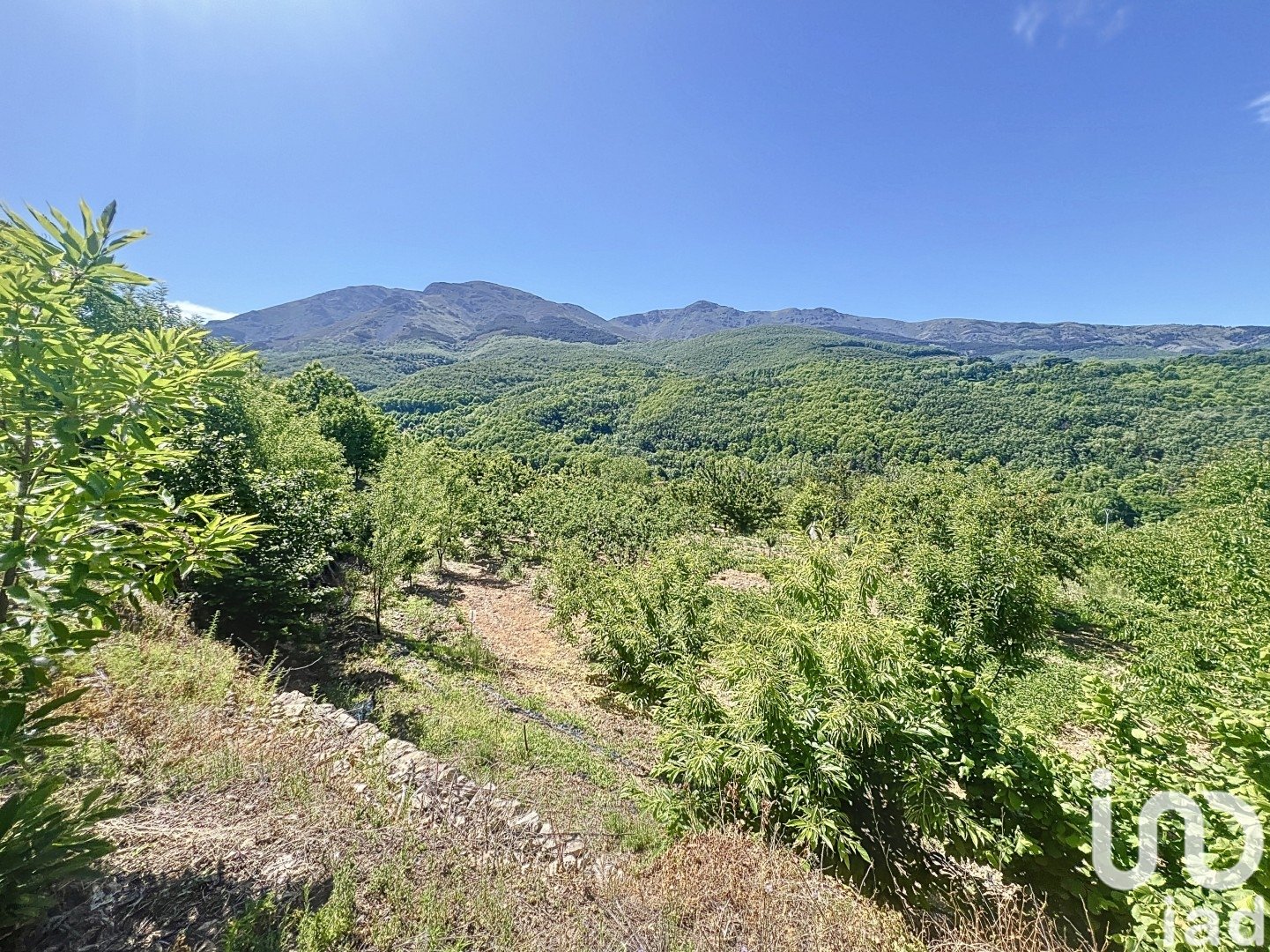 Gewerbeimmobilien in Hervas, Caceres, Spanien Nr. 153957