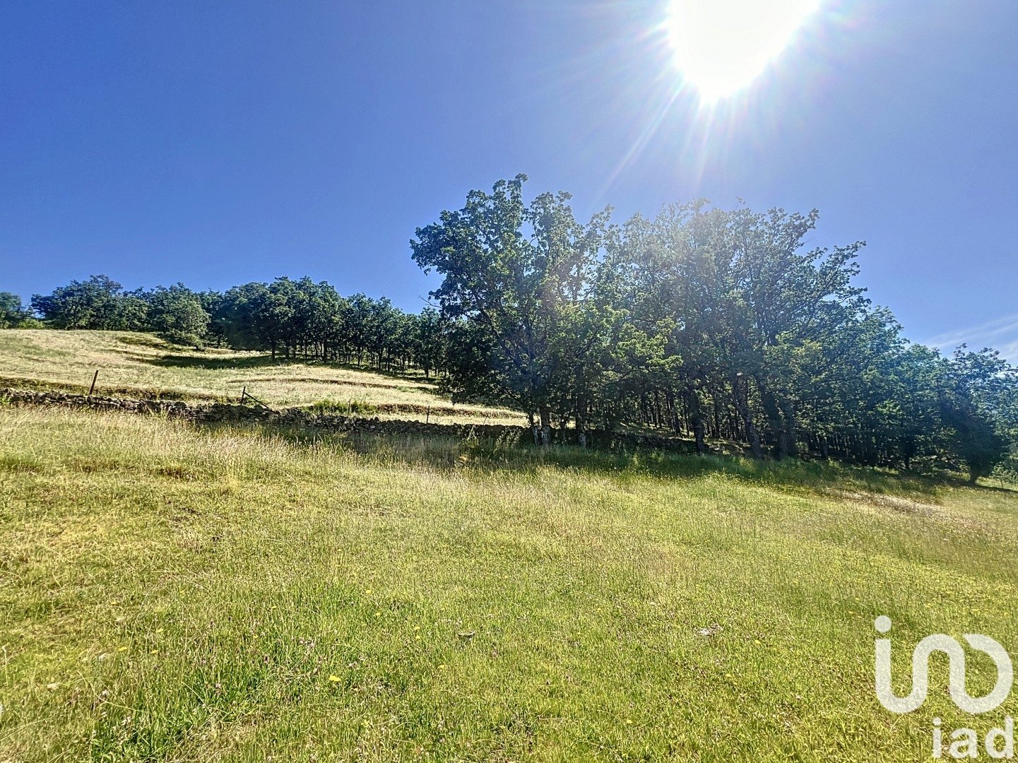 Gewerbeimmobilien in Hervas, Caceres, Spanien Nr. 153957