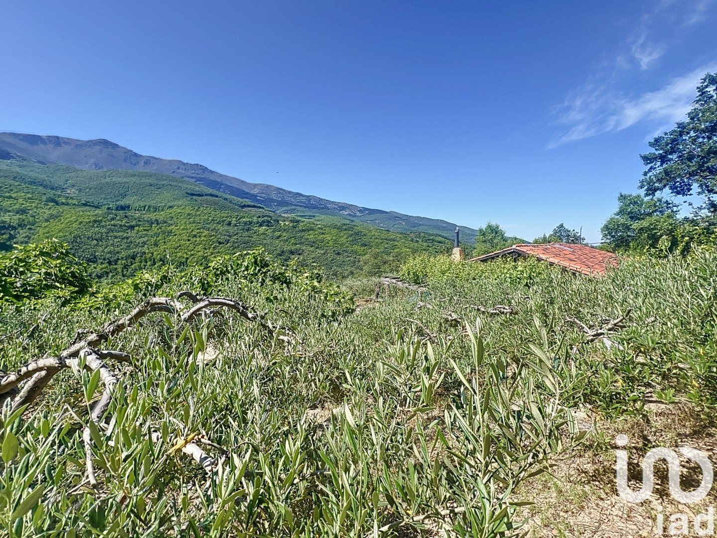 Gewerbeimmobilien in Hervas, Caceres, Spanien Nr. 153957
