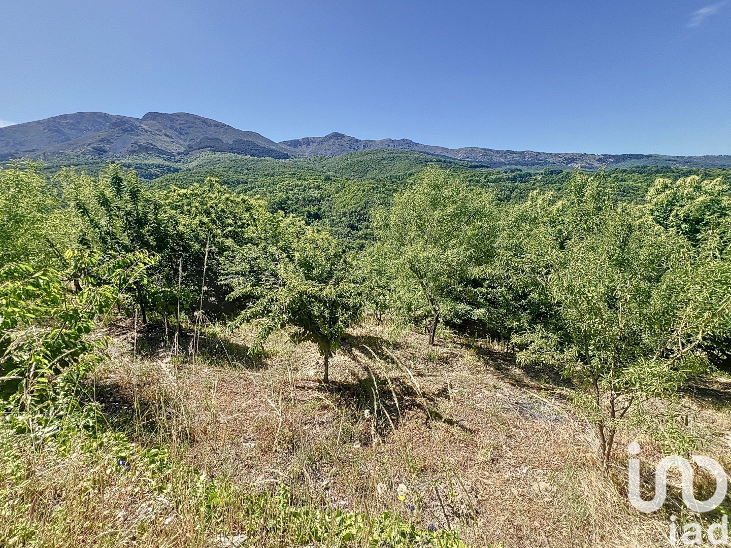 Gewerbeimmobilien in Hervas, Caceres, Spanien Nr. 153957
