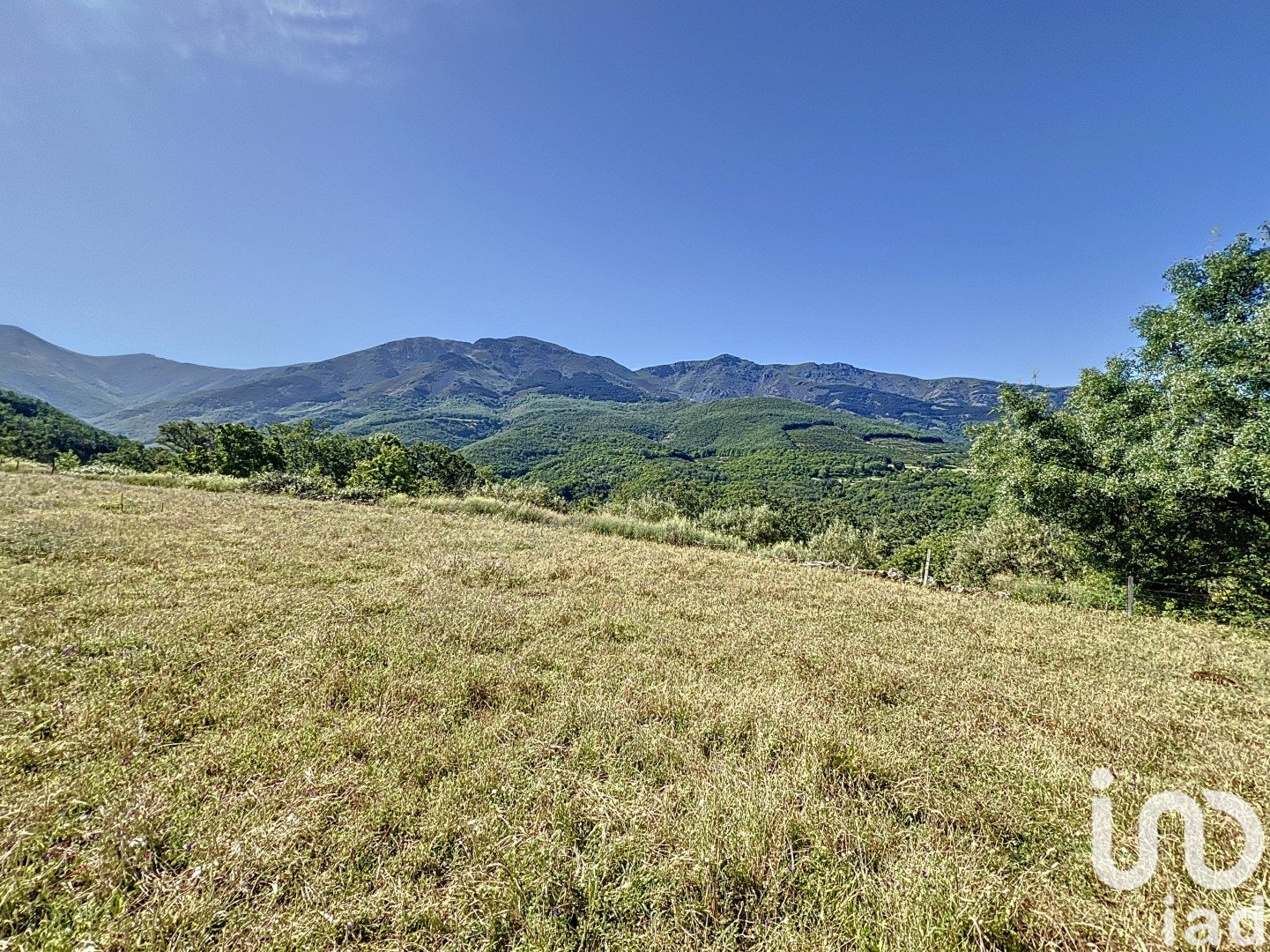 Gewerbeimmobilien in Hervas, Caceres, Spanien Nr. 153957