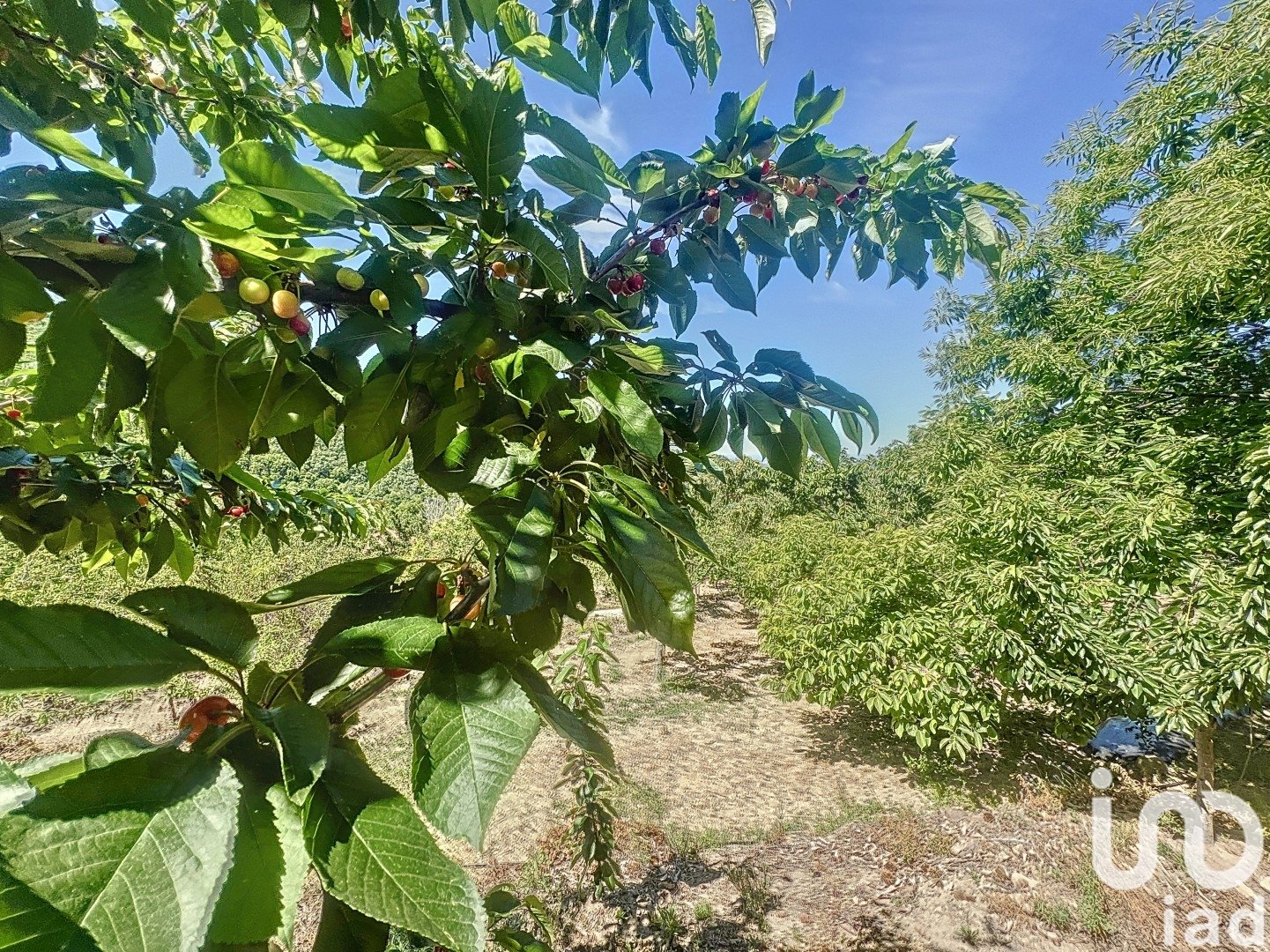Gewerbeimmobilien in Hervas, Caceres, Spanien Nr. 153957