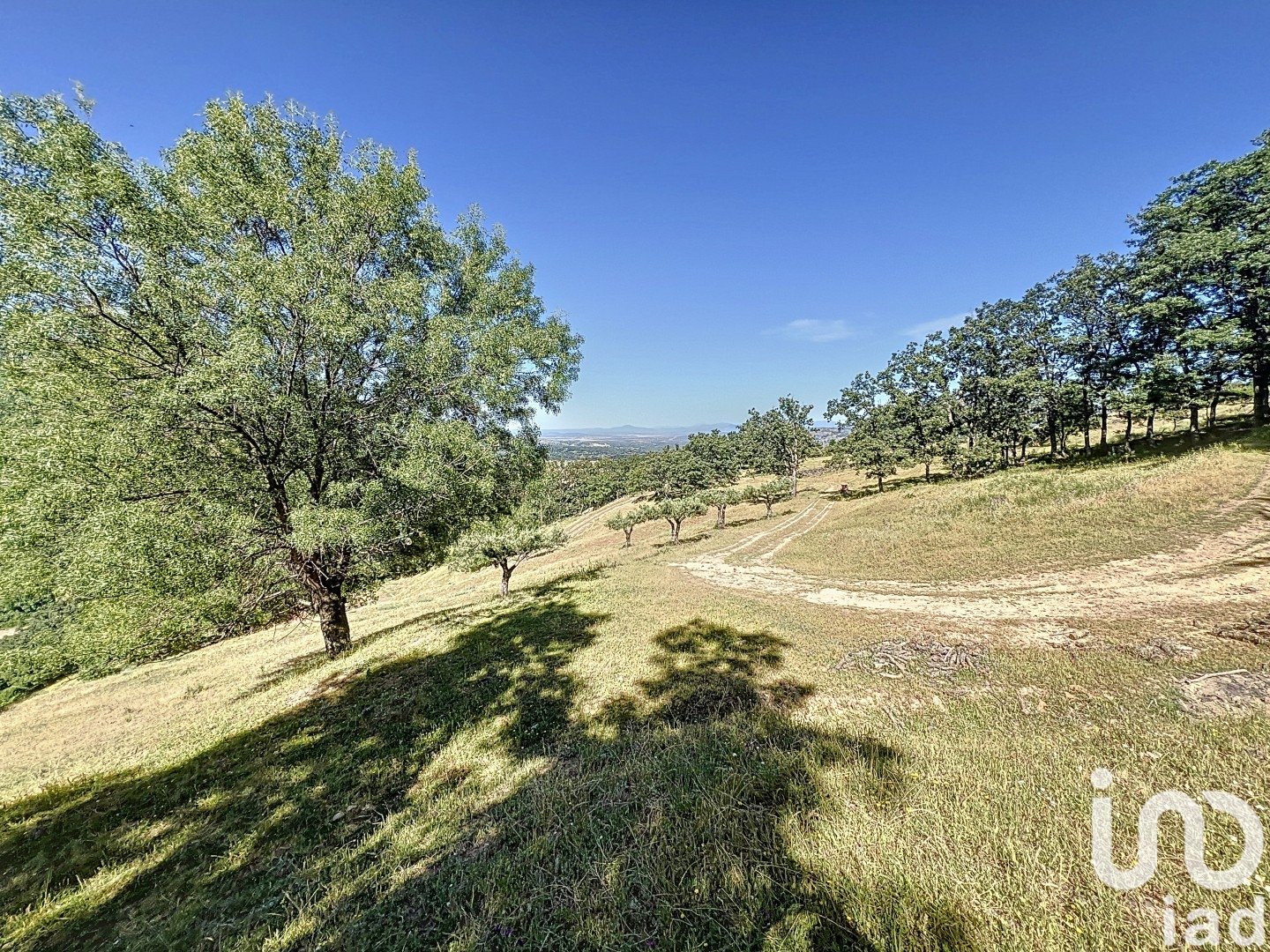 Gewerbeimmobilien in Hervas, Caceres, Spanien Nr. 153957