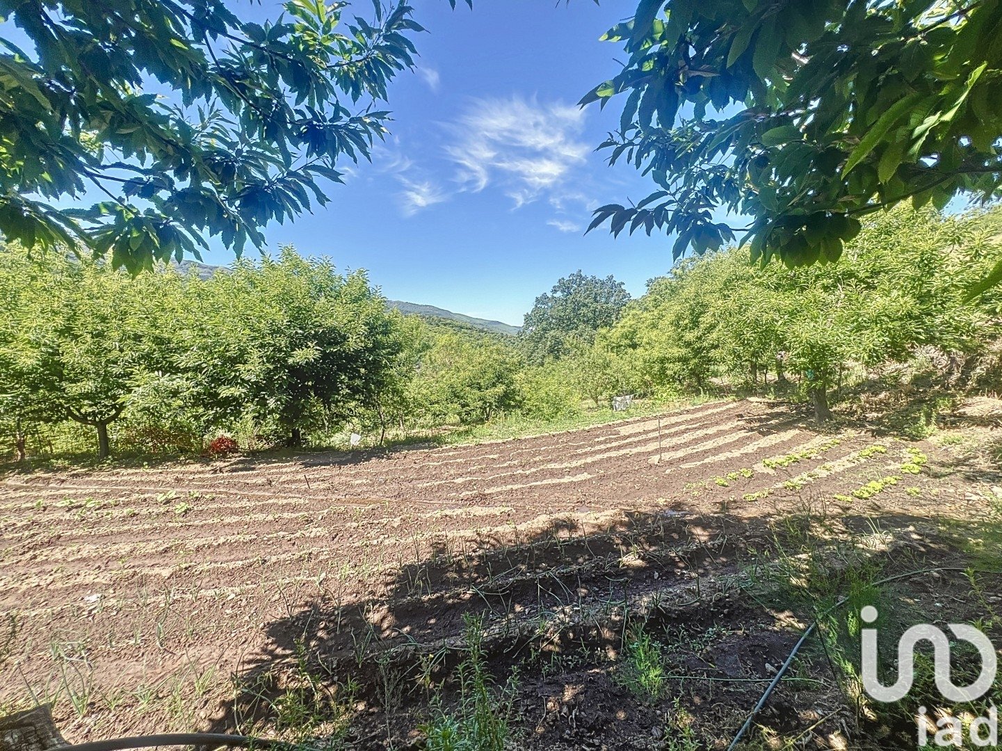 Gewerbeimmobilien in Hervas, Caceres, Spanien Nr. 153957