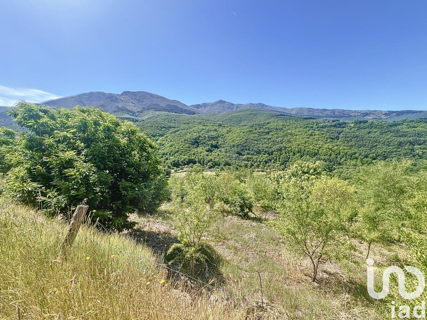 Gewerbeimmobilien in Hervas, Caceres, Spanien Nr. 153957