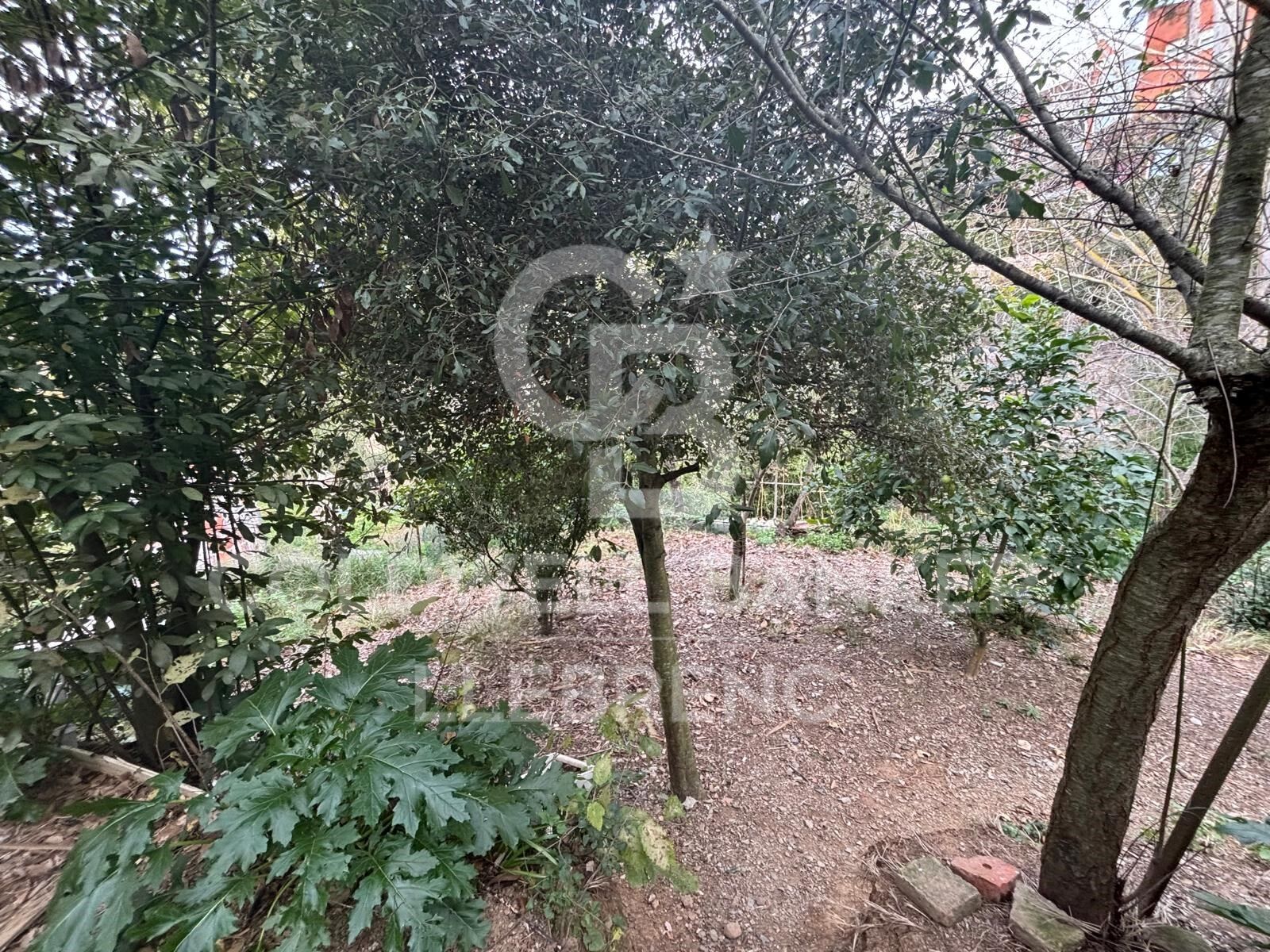Land plot in Barcelona, Spain 452 sq.m. No. 157243