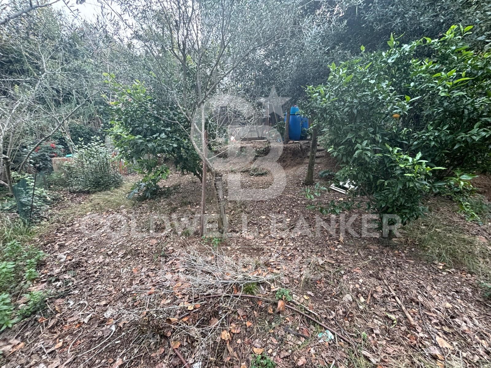 Land plot in Barcelona, Spain 452 sq.m. No. 157243