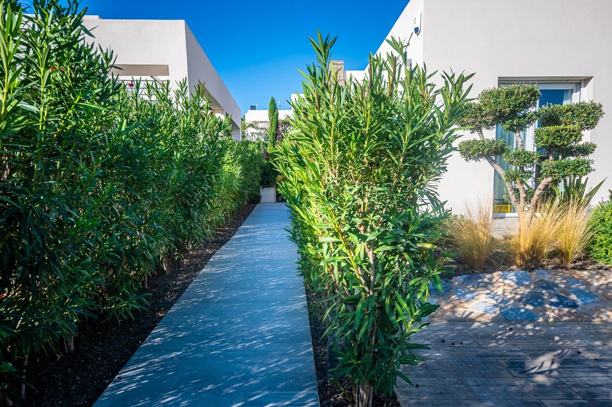 Villa in Algorfa, Alicante, Spanien 2 Schlafzimmer, 132 m2 Nr. 139310