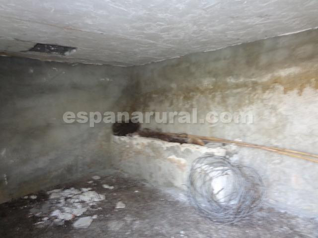 Talo Oria, Almeria, Espanja 3 makuuhuonetta, 120 m2 No. 184113