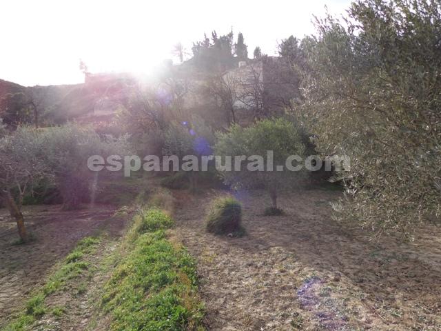 Talo Oria, Almeria, Espanja 3 makuuhuonetta, 120 m2 No. 184113