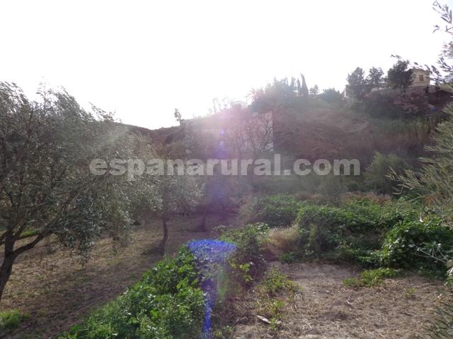 Talo Oria, Almeria, Espanja 3 makuuhuonetta, 120 m2 No. 184113