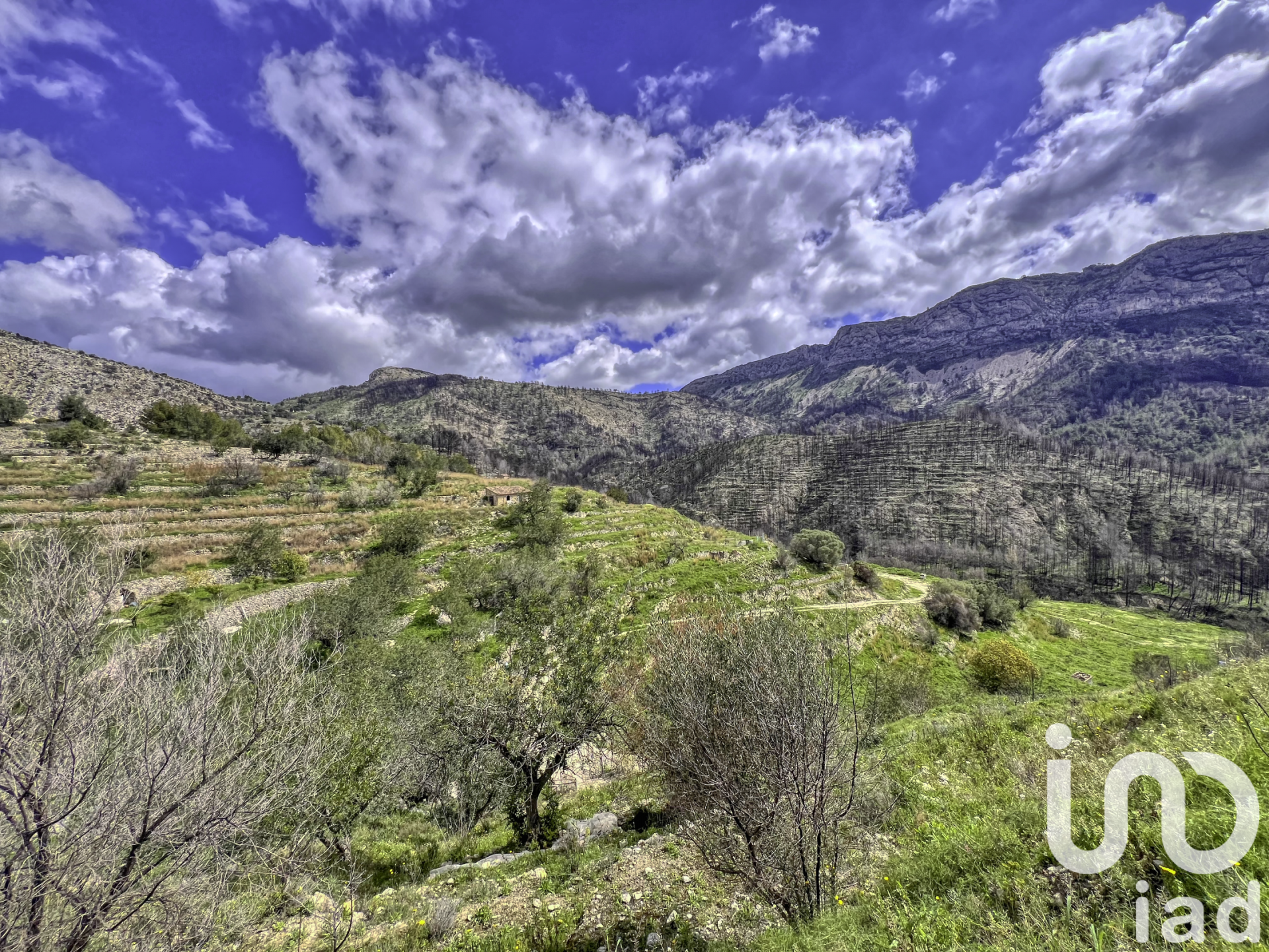 Zemes gabals Tarbena, Alicante, Spānijā 41000 m2 Nr. 185948