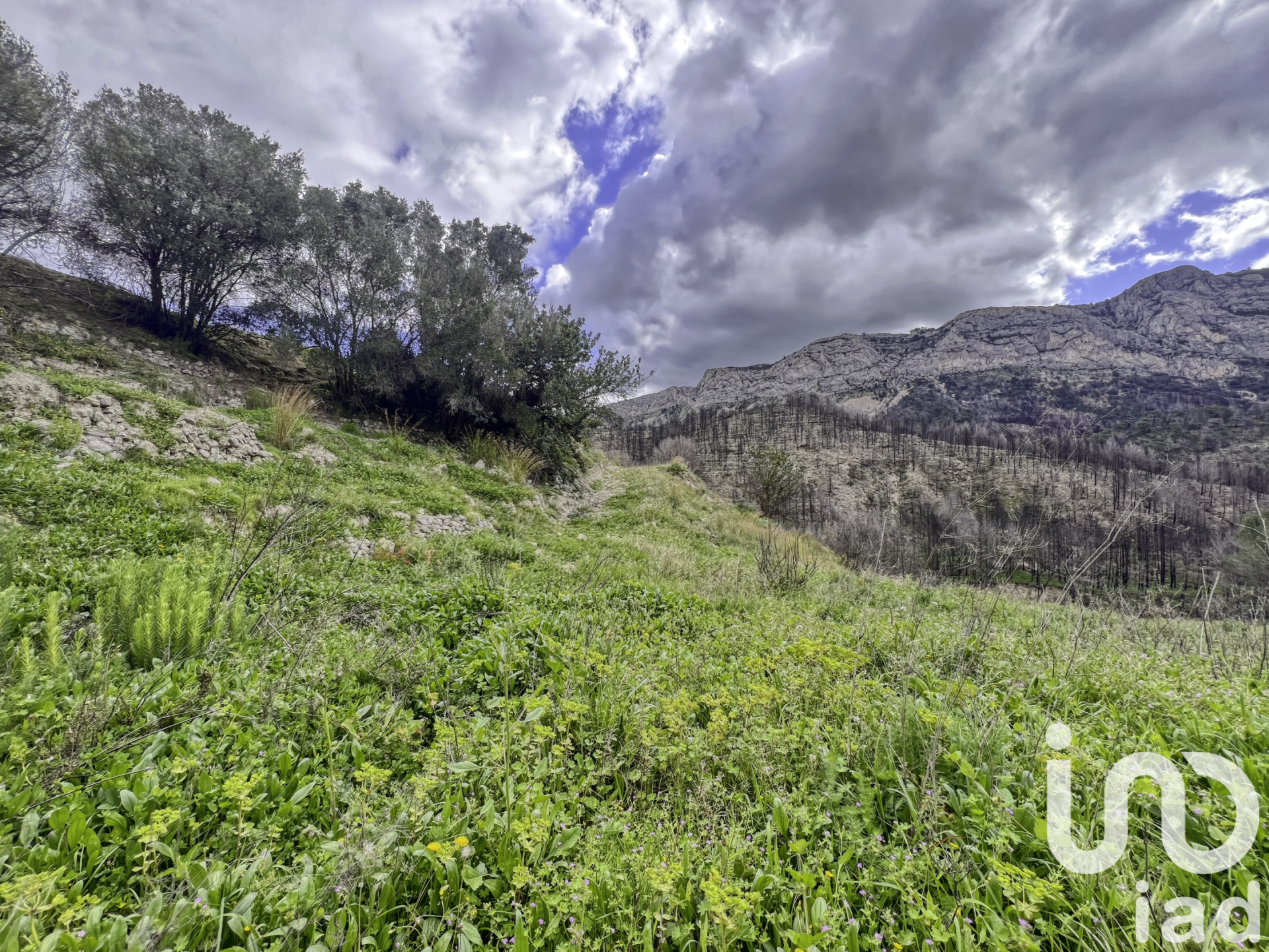 Zemes gabals Tarbena, Alicante, Spānijā 41000 m2 Nr. 185948