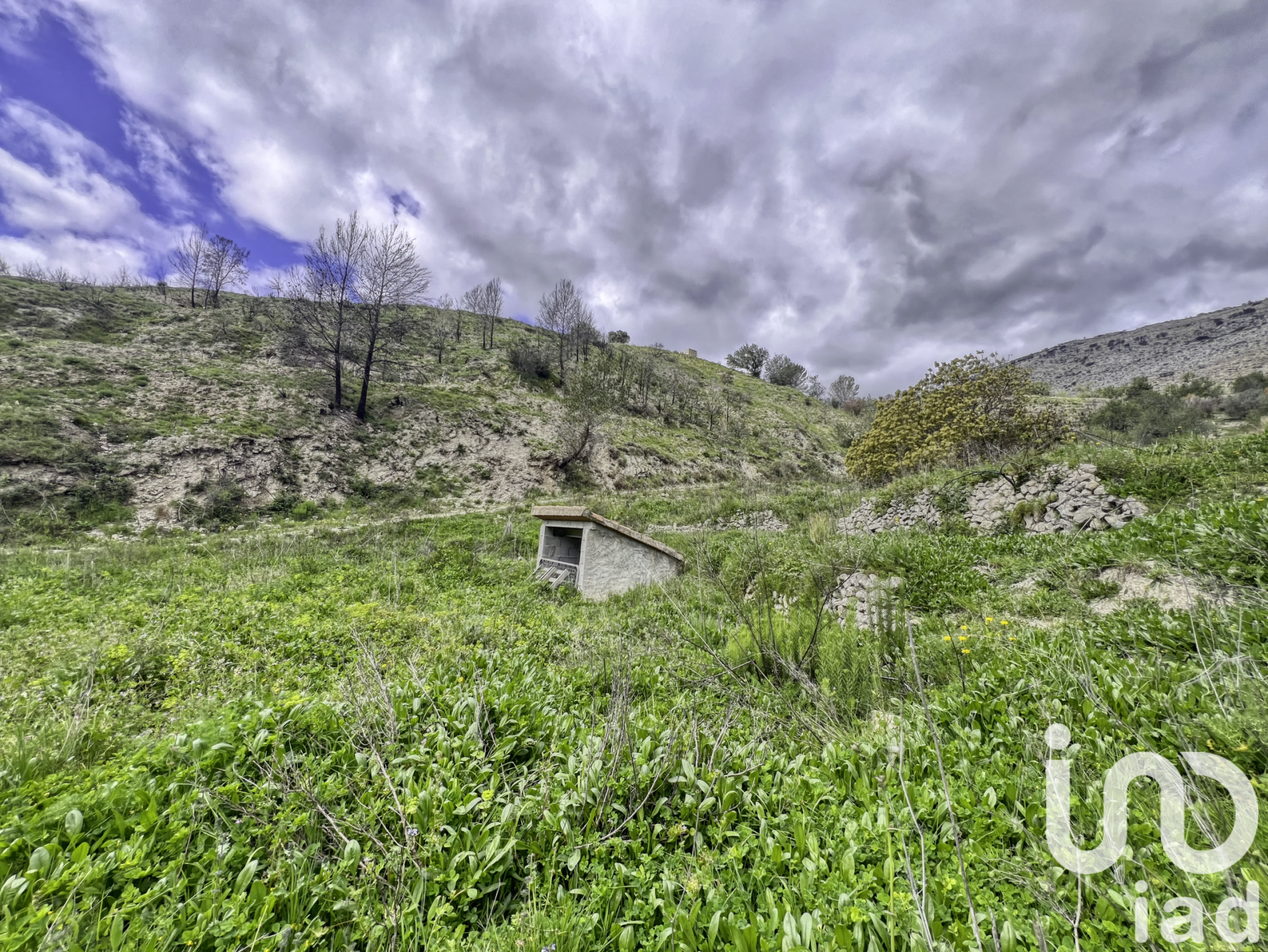 Zemes gabals Tarbena, Alicante, Spānijā 41000 m2 Nr. 185948