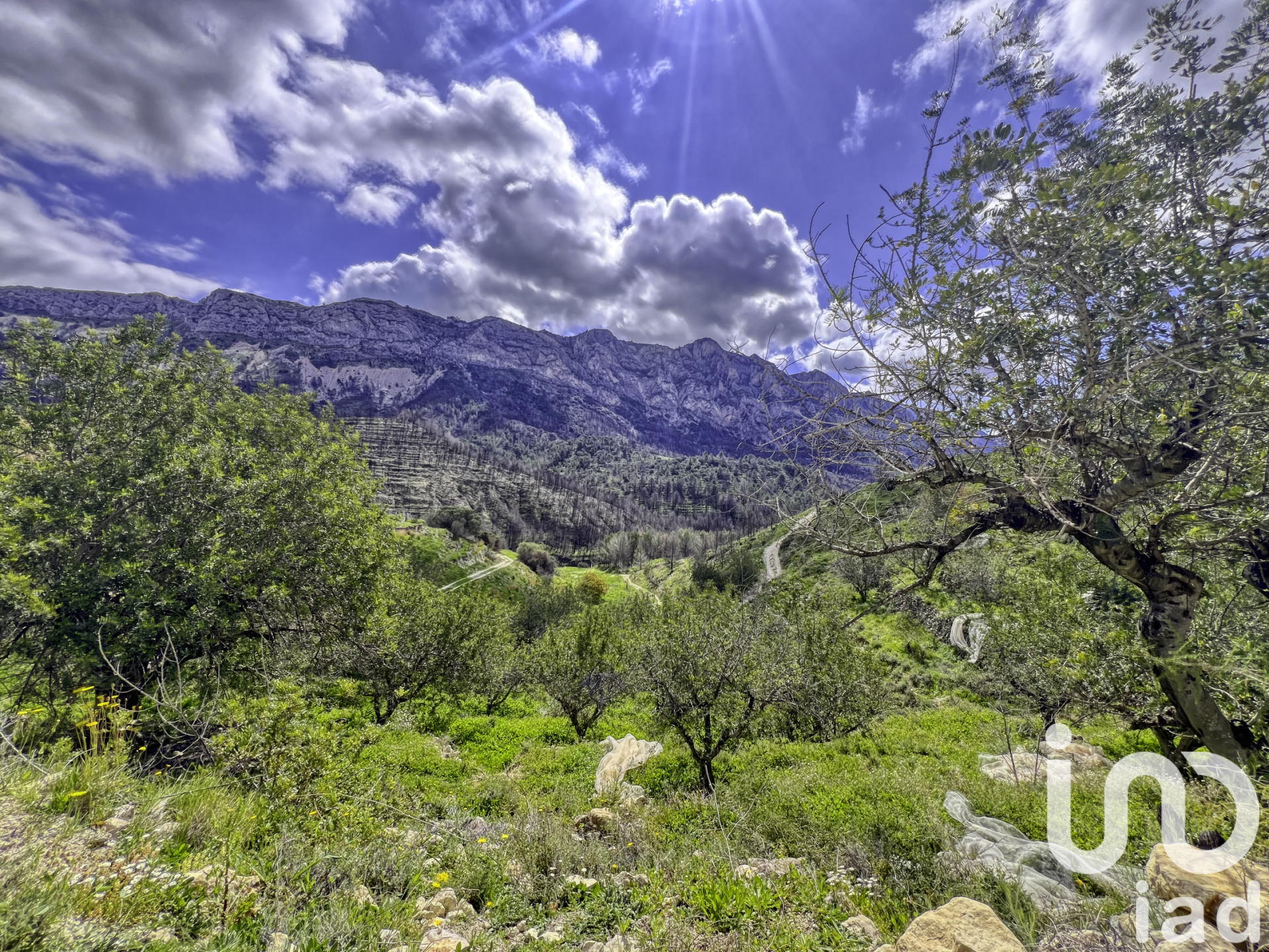 Zemes gabals Tarbena, Alicante, Spānijā 41000 m2 Nr. 185948