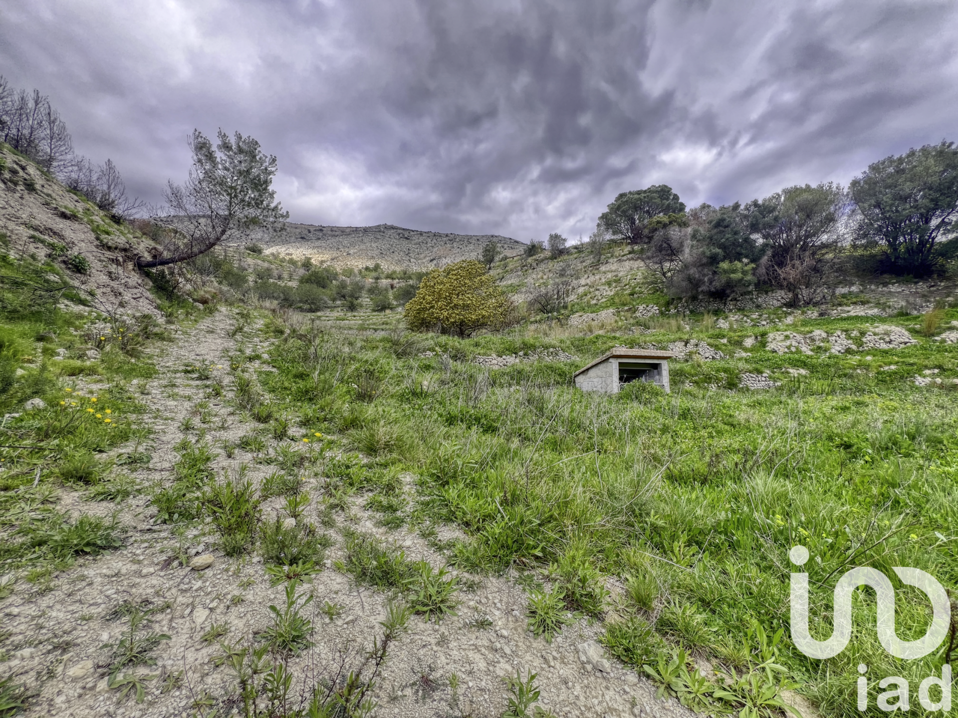 Zemes gabals Tarbena, Alicante, Spānijā 41000 m2 Nr. 185948