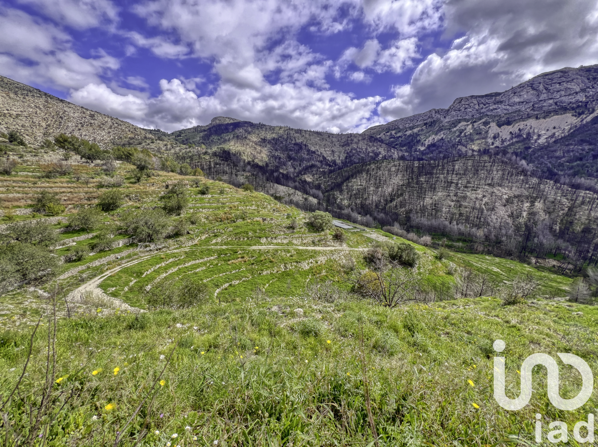 Zemes gabals Tarbena, Alicante, Spānijā 41000 m2 Nr. 185948