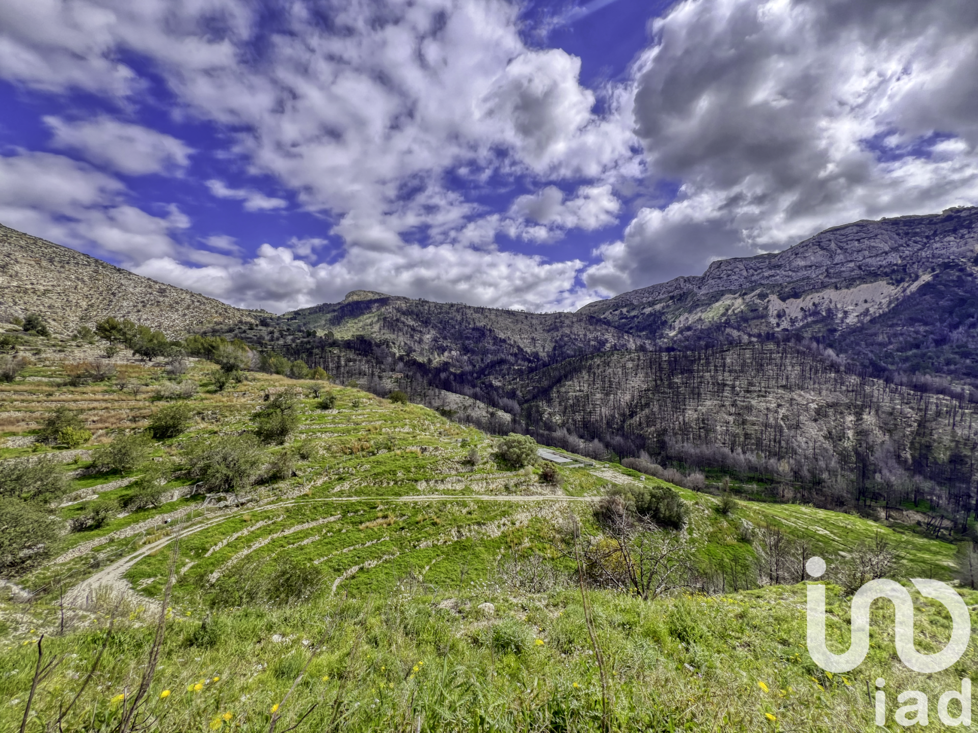 Zemes gabals Tarbena, Alicante, Spānijā 41000 m2 Nr. 185948