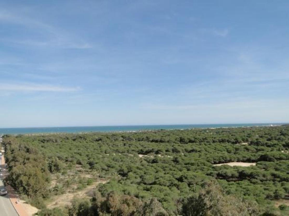 Lägenhet i Guardamar del Segura, Alicante, Spanien 1 sovrum, 41 kvm. Nr. 183750