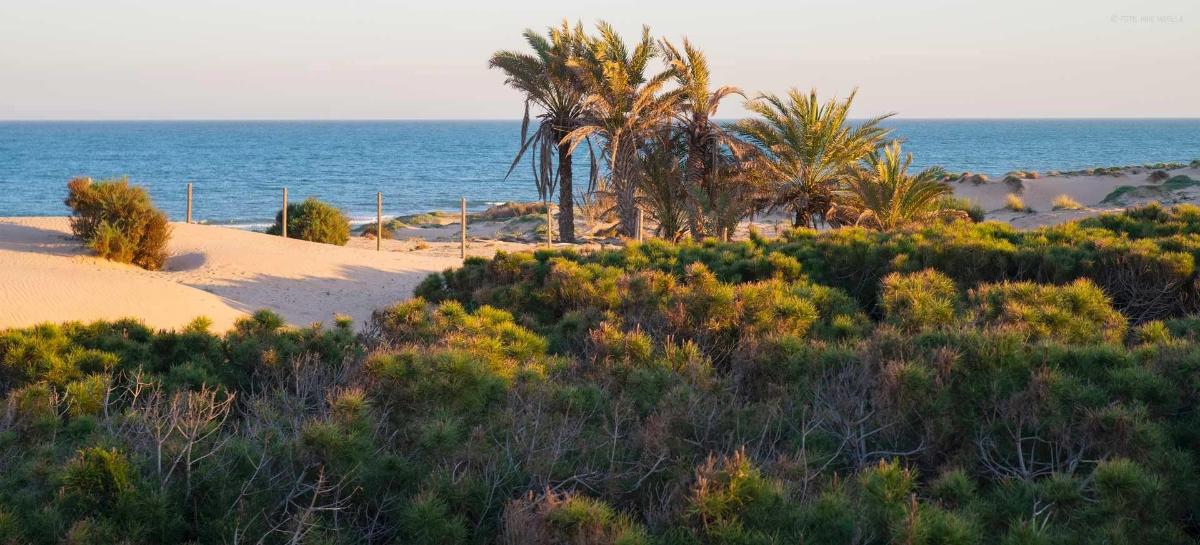 Lägenhet i Guardamar del Segura, Alicante, Spanien 1 sovrum, 41 kvm. Nr. 183750