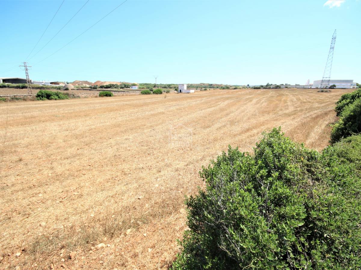 Land in Ciutadella De Menorca, Menorca, Spanien Nr. 65440