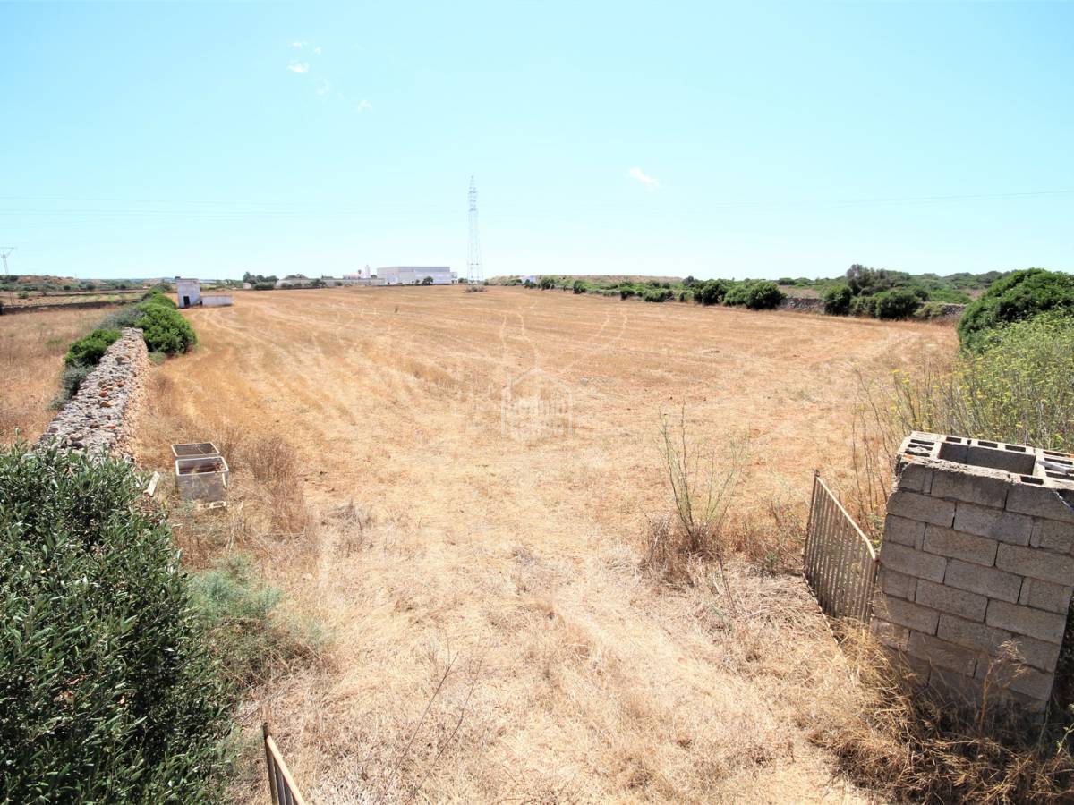 Land in Ciutadella De Menorca, Menorca, Spanien Nr. 65440