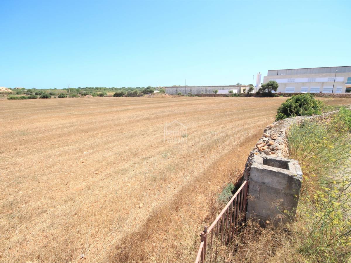 Land in Ciutadella De Menorca, Menorca, Spanien Nr. 65440