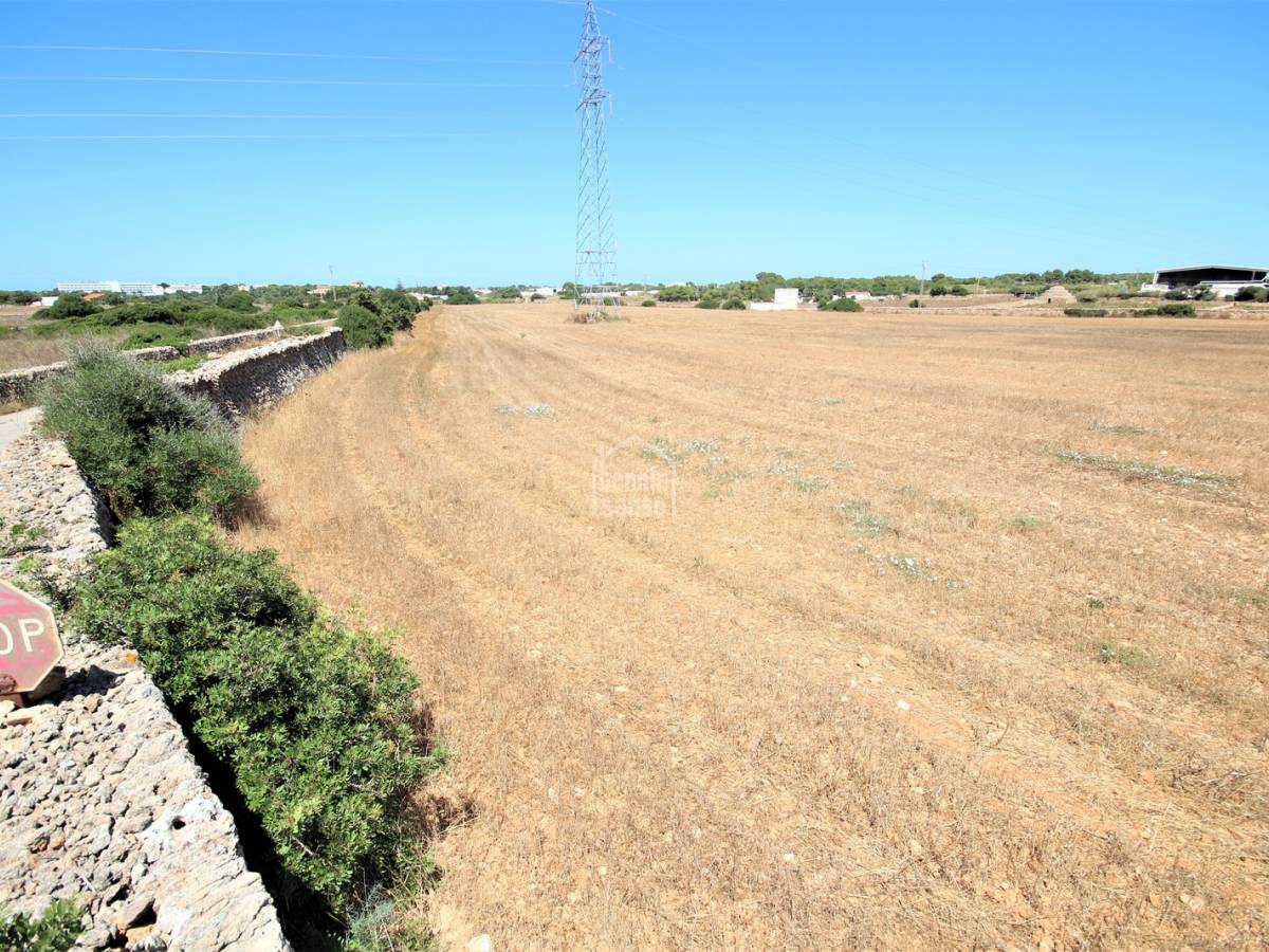 Land in Ciutadella De Menorca, Menorca, Spanien Nr. 65440