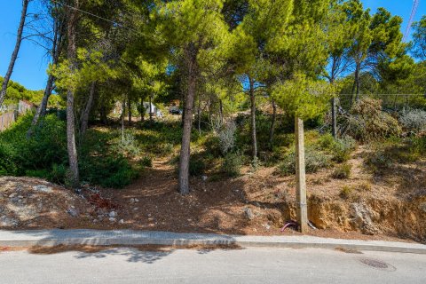 Zemes gabals El Camp De Mar, Mallorca, Spānijā Nr. 195371