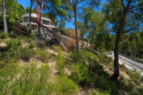 Zemes gabals El Camp De Mar, Mallorca, Spānijā Nr. 195370