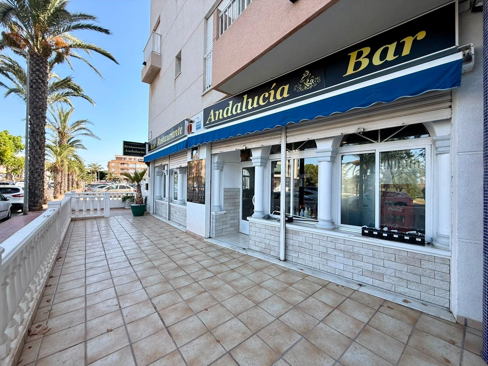 Propiedad comercial en Guardamar del Segura, Alicante, España 101 m2 No. 193395