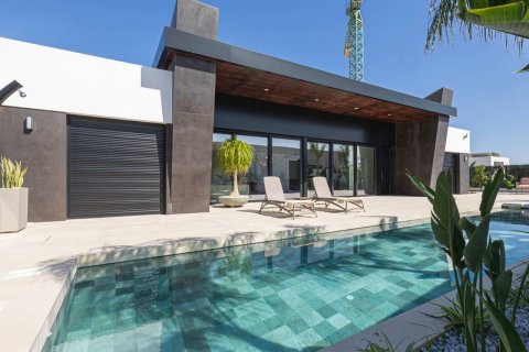 Villa in Ciudad Quesada, Alicante, Spanien 3 Schlafzimmer, 150 m2 Nr. 94065