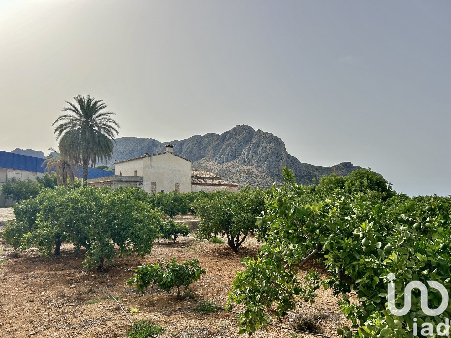 Talo Ondara, Alicante, Espanja 3 makuuhuonetta, 363 m2 No. 153926