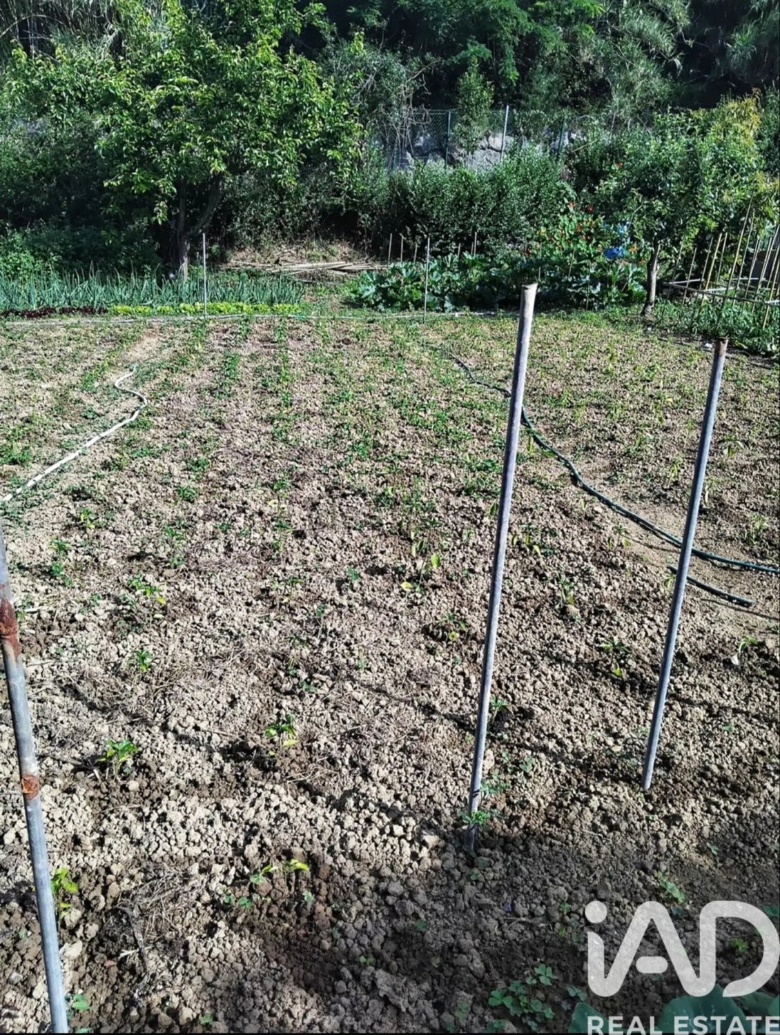 Land plot in Zierbena, Biscay, Spain 2000 sq.m. No. 185526