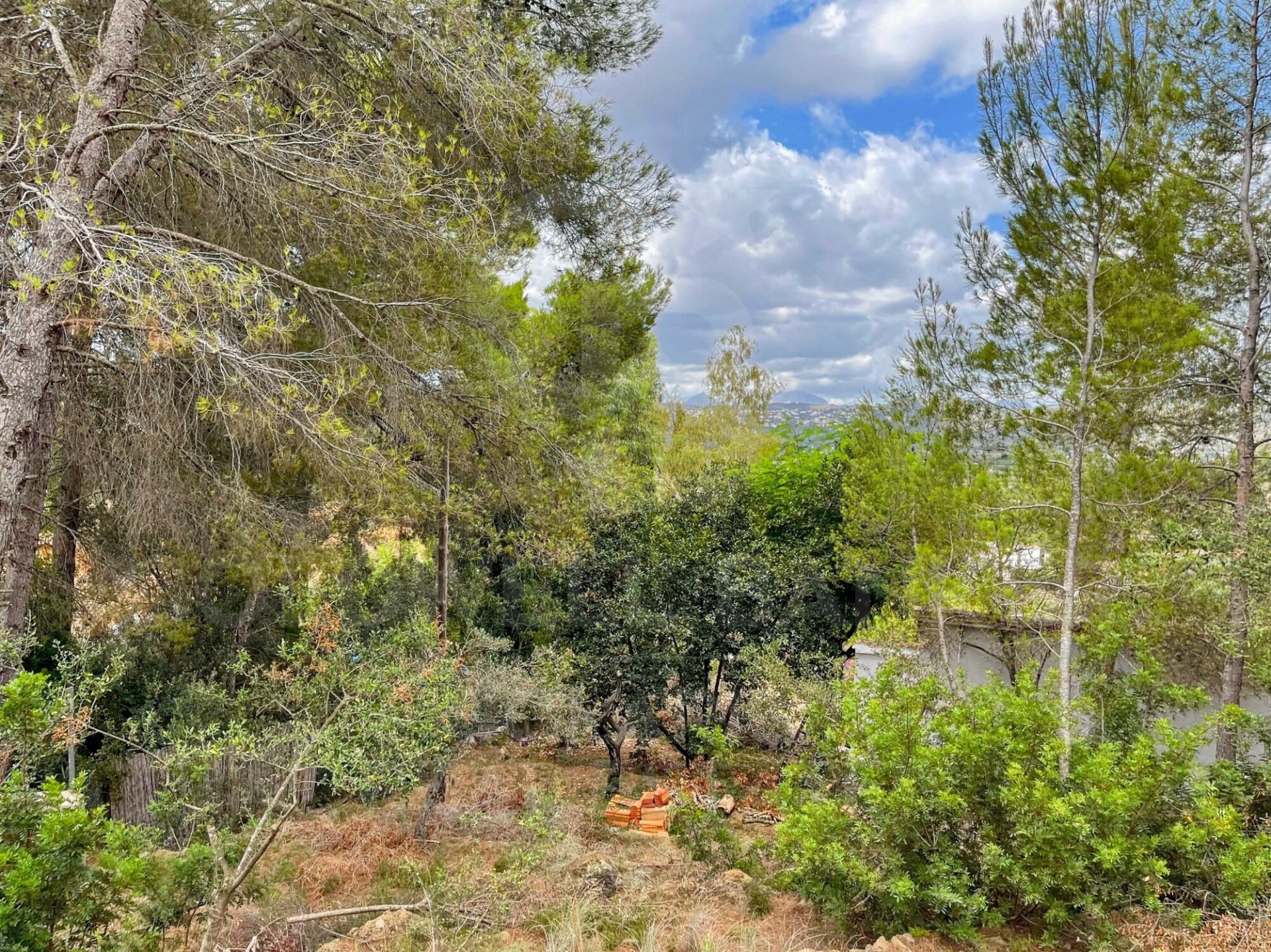 Māja Denia, Alicante, Spānijā 5 istabas, 480 m2 Nr. 160311