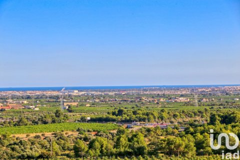 Land plot à Castellon de la Plana, Castellon, Espagne 1066 m2 No. 153982