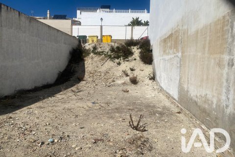 Land plot in Trebujena, Cadiz, Spain 197 sq.m. No. 188052