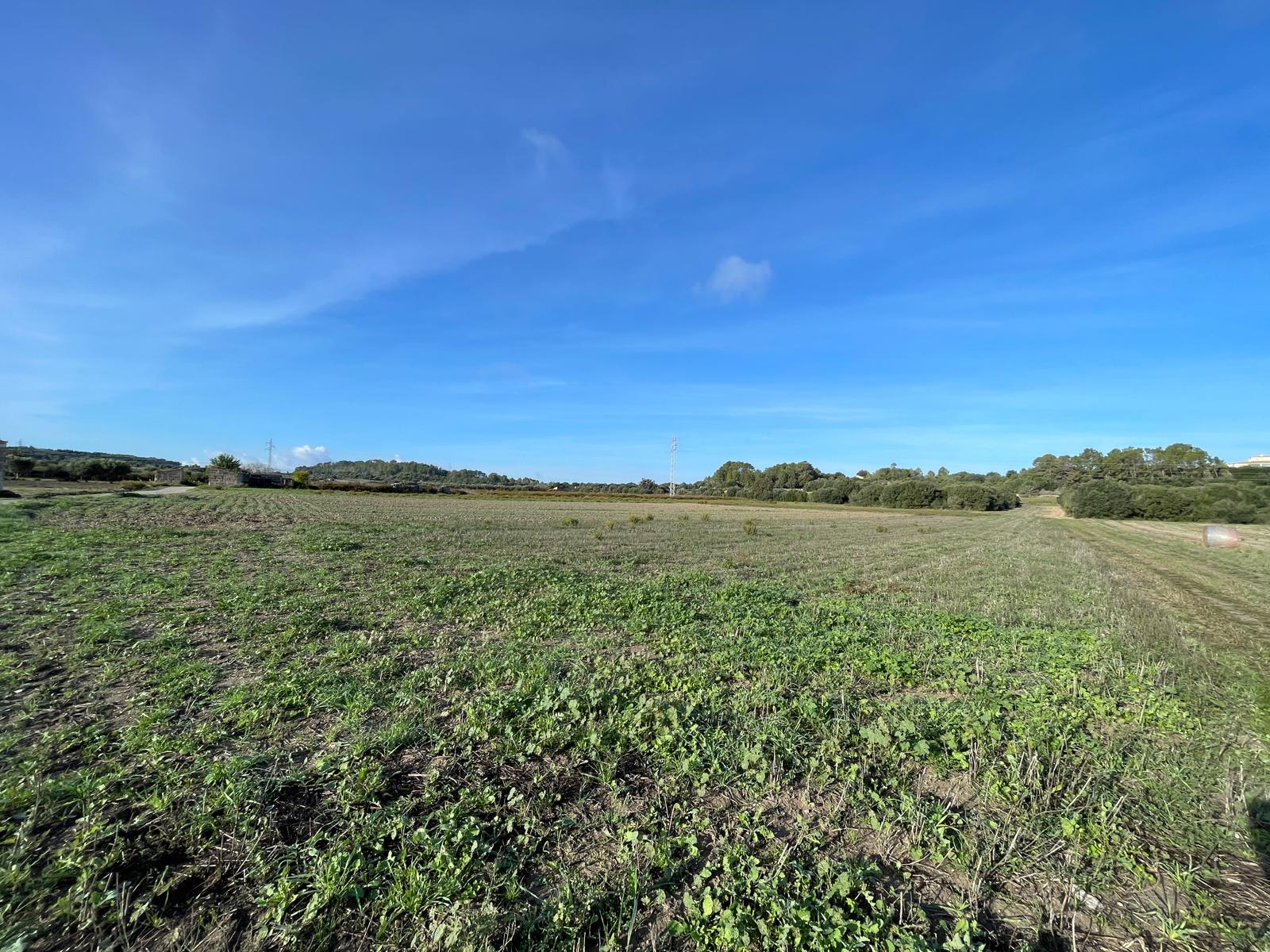 Finca Muro, Mallorca, Espanja 4 makuuhuonetta, 300 m2 No. 149500