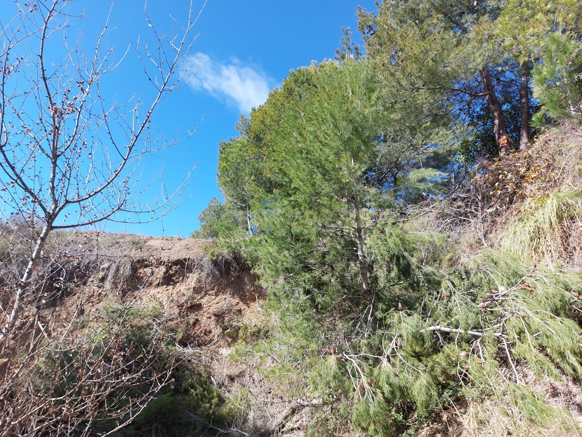 Land in Sentmenat, Barcelona, Spanien Nr. 186644