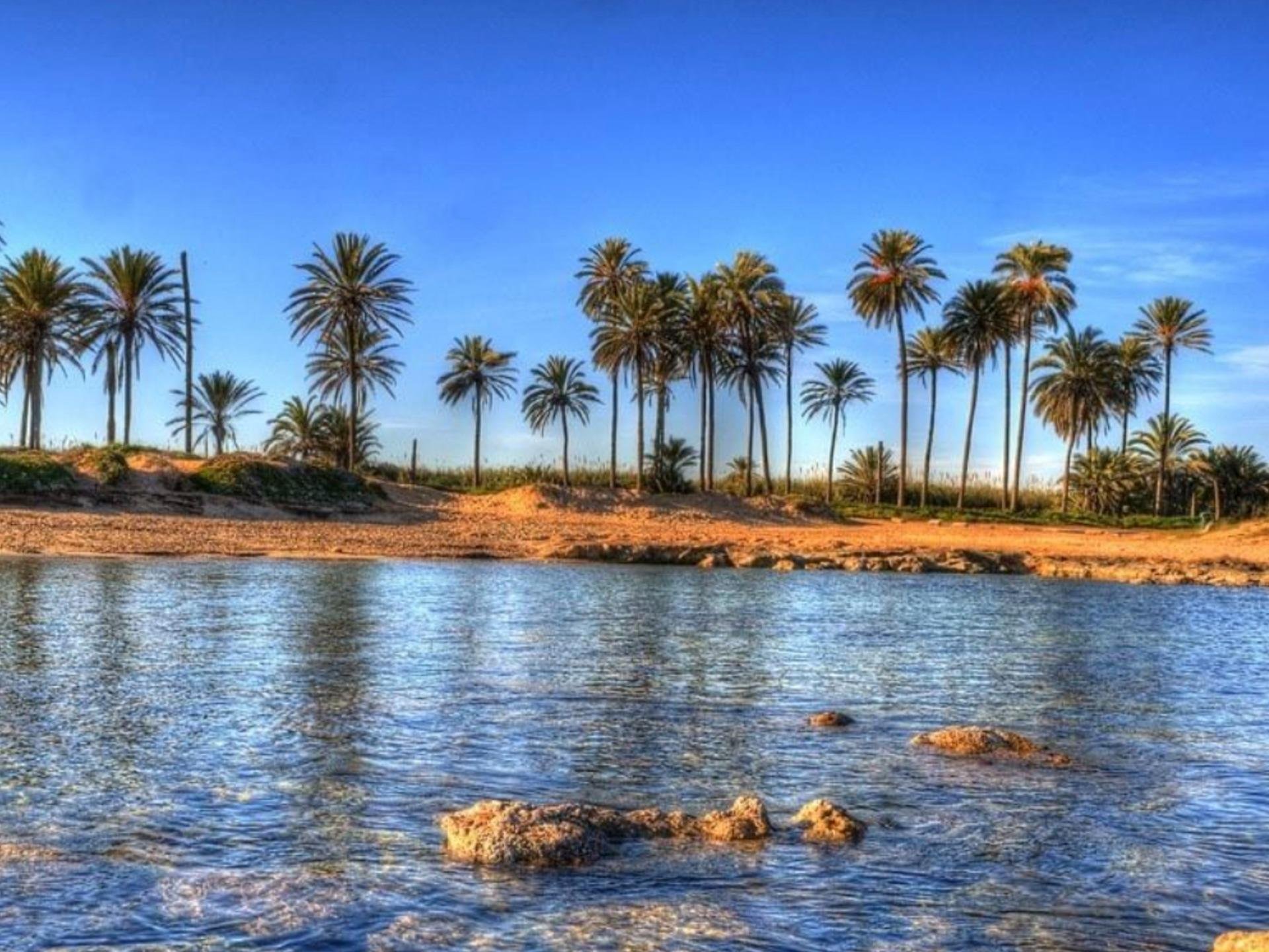 Huoneisto Torrevieja, Alicante, Espanja 3 makuuhuonetta, 74 m2 No. 111256