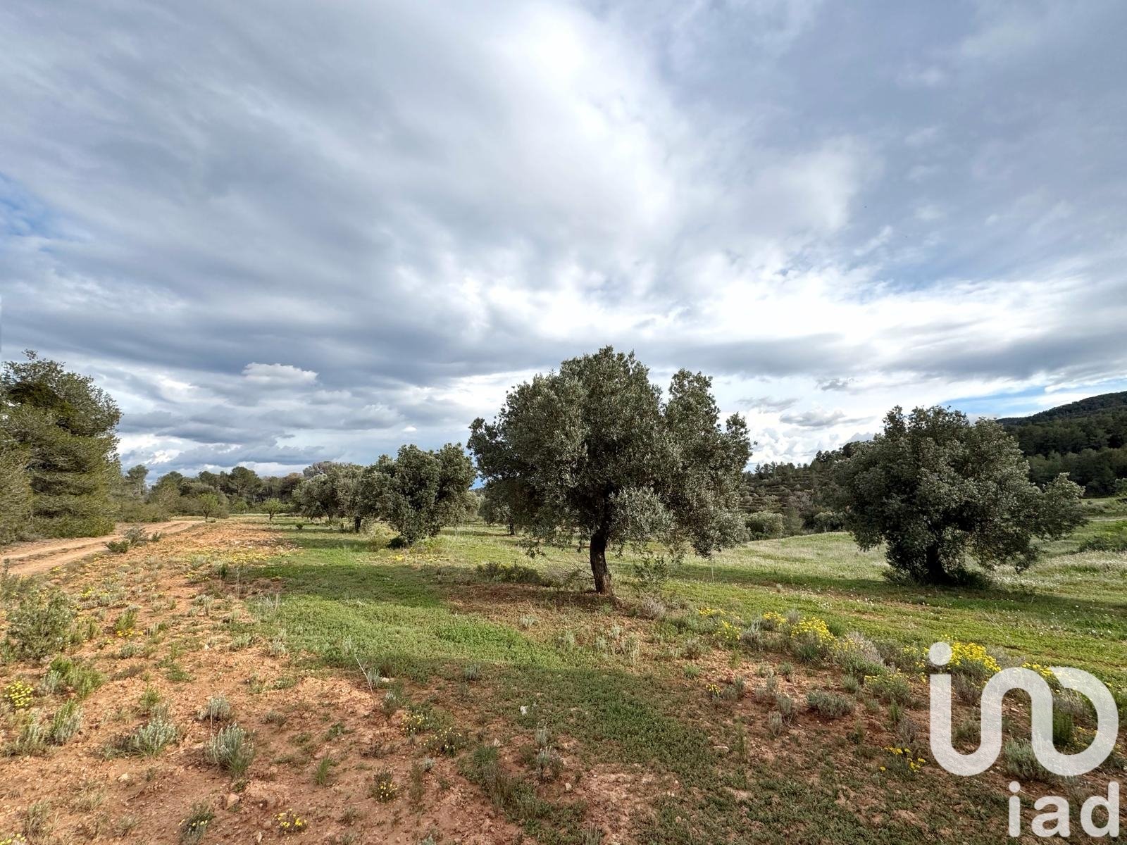 Lokal usługowy w Asco, Tarragona, Hiszpania nr 185926