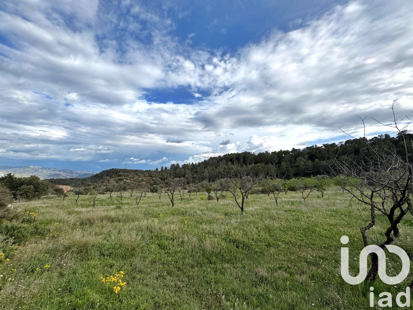 Lokal usługowy w Asco, Tarragona, Hiszpania nr 185926
