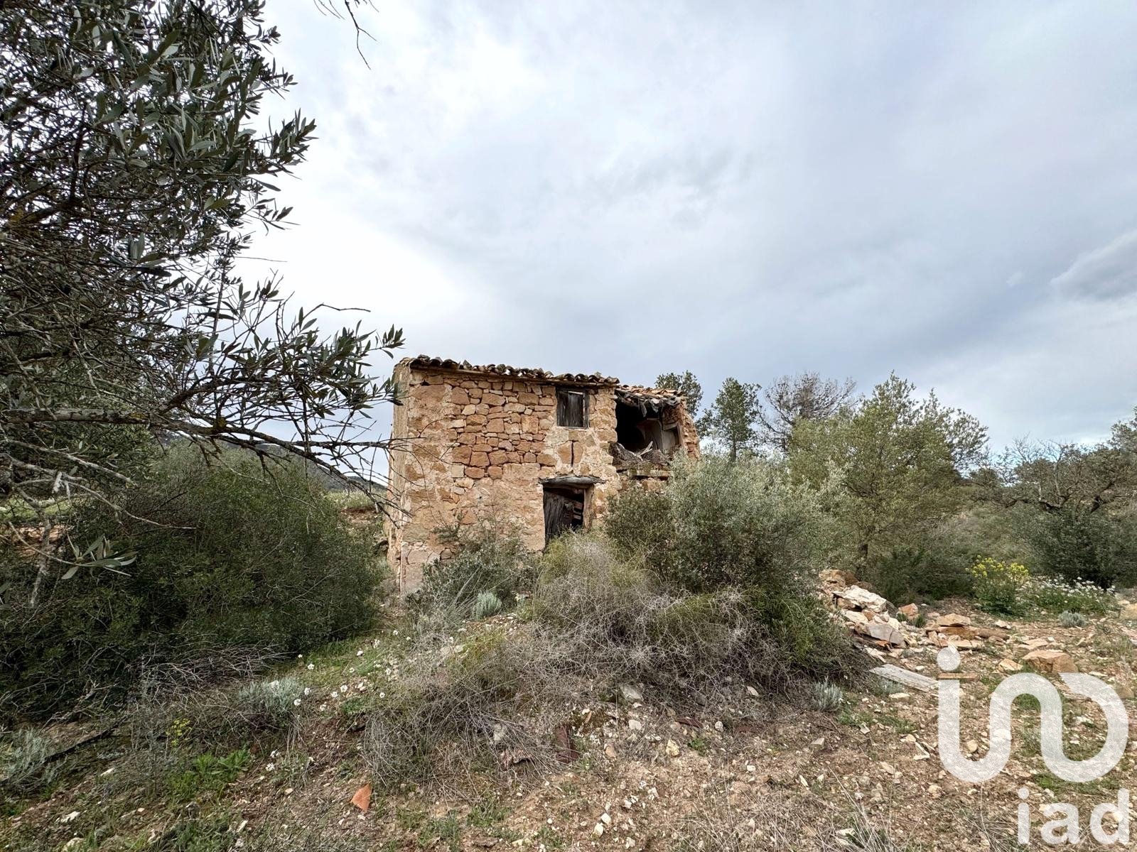 Lokal usługowy w Asco, Tarragona, Hiszpania nr 185926