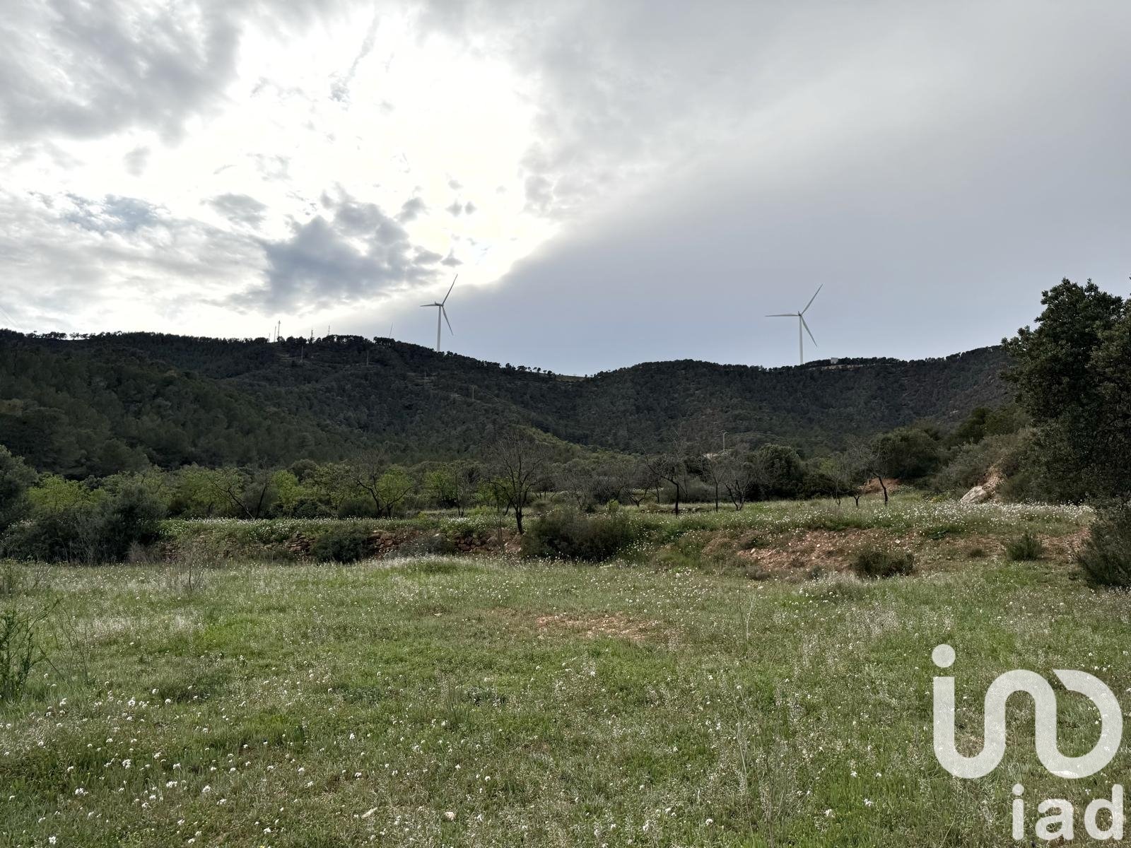 Lokal usługowy w Asco, Tarragona, Hiszpania nr 185926
