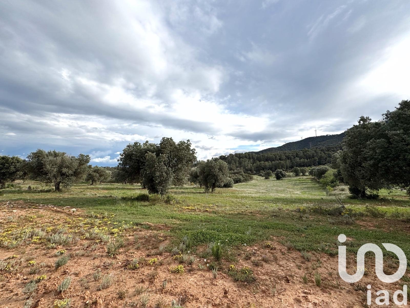 Lokal usługowy w Asco, Tarragona, Hiszpania nr 185926