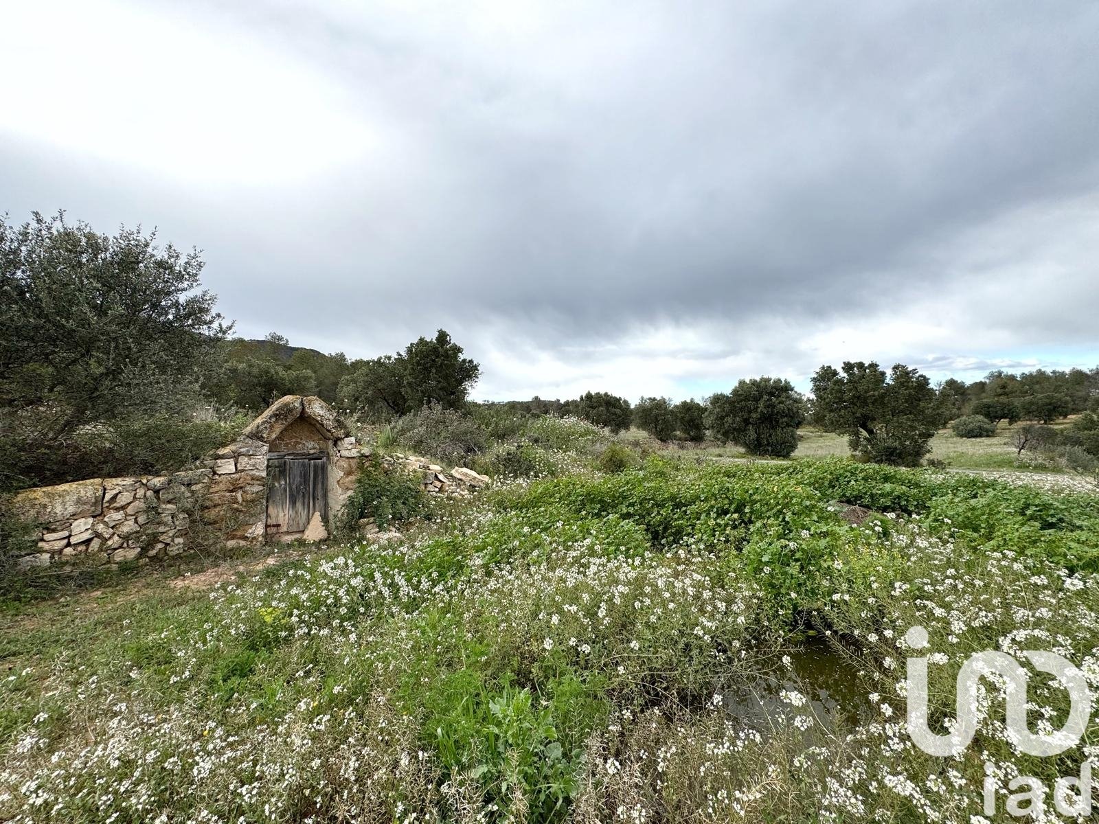 Lokal usługowy w Asco, Tarragona, Hiszpania nr 185926