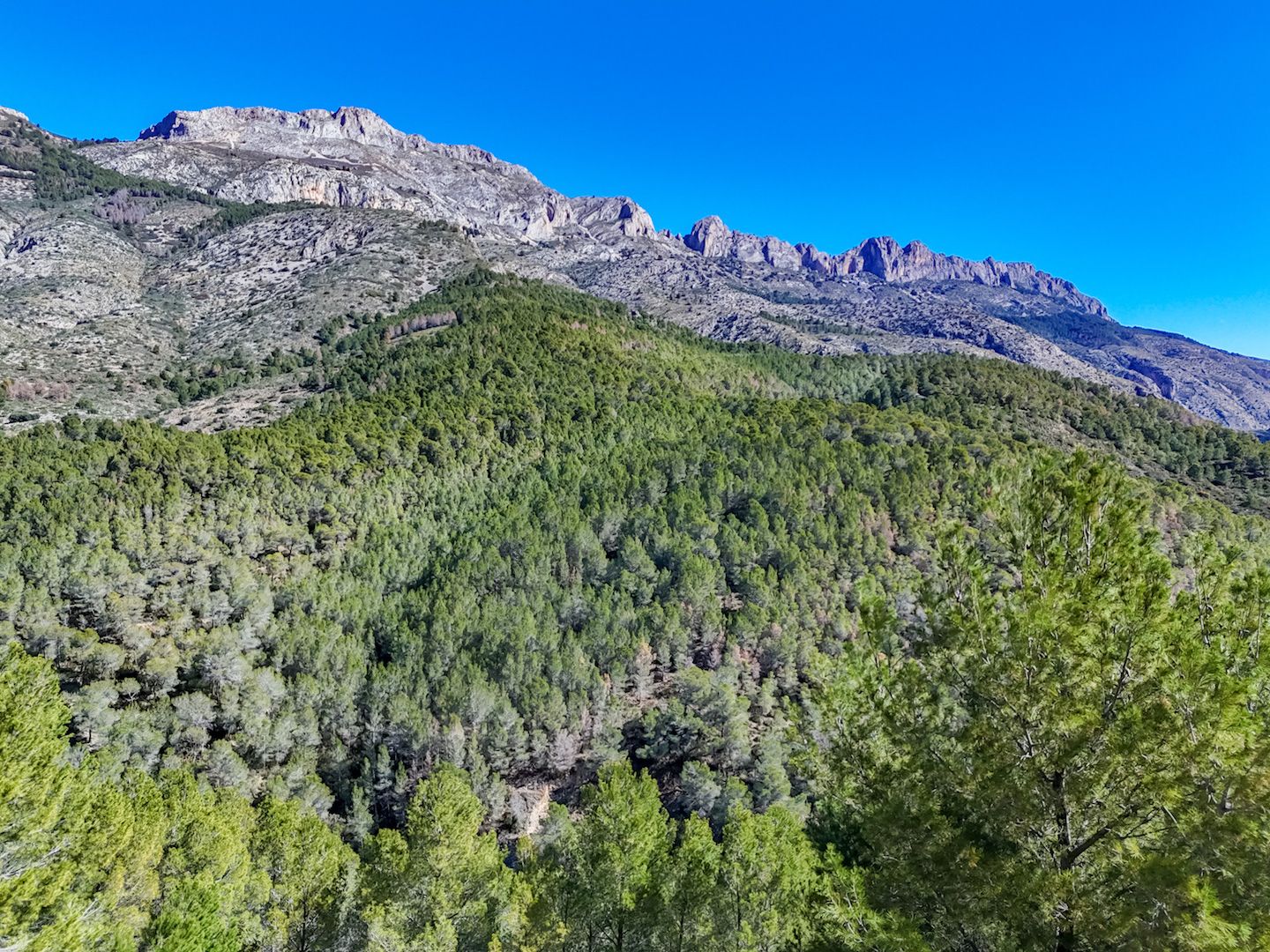 Parcela en Altea, Alicante, España 985 m2 No. 168646