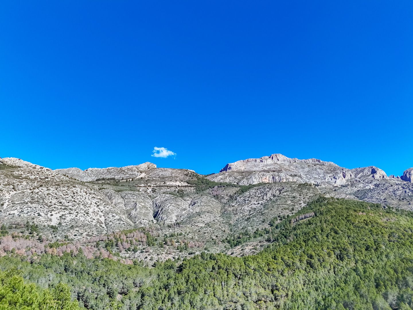 Parcela en Altea, Alicante, España 985 m2 No. 168646