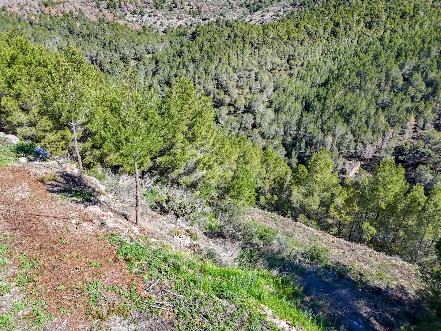 Parcela en Altea, Alicante, España 985 m2 No. 168646